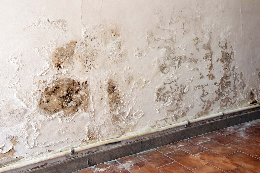 humedad en casa a remodelar en Rosario